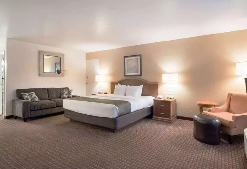 Hotelli Quality Inn & Suites Lake Havasu City