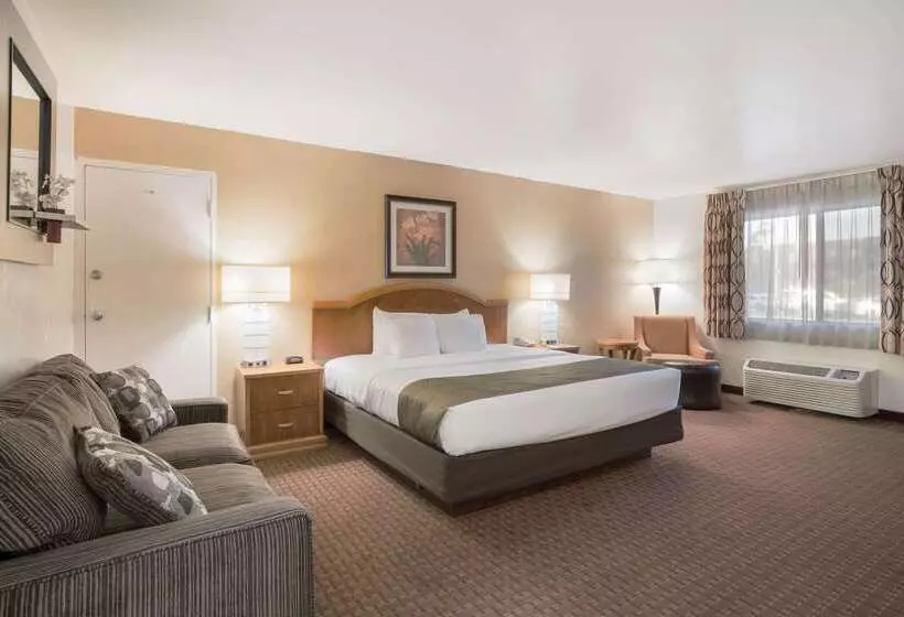 Hotelli Quality Inn & Suites Lake Havasu City