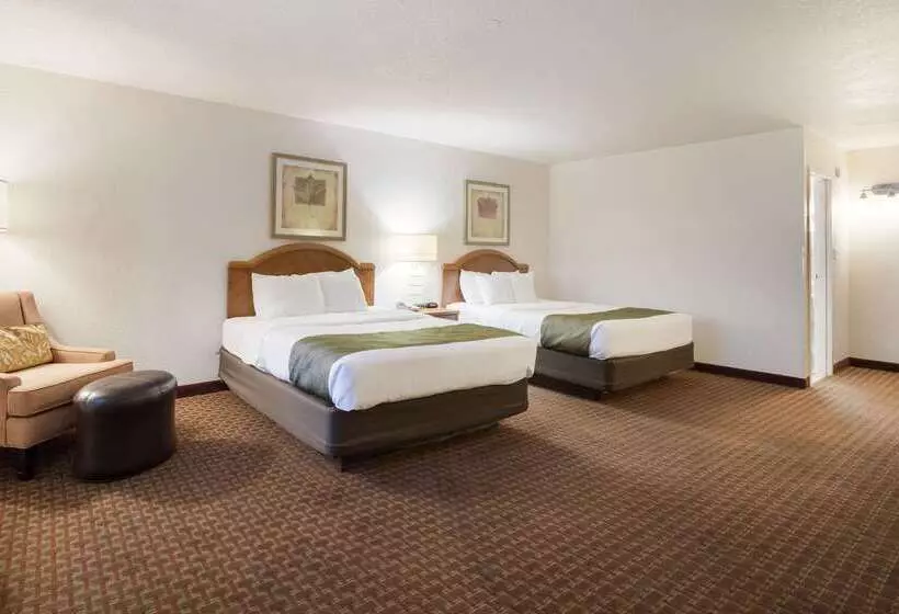 Hotelli Quality Inn & Suites Lake Havasu City