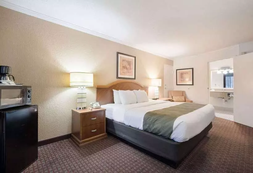 Hotelli Quality Inn & Suites Lake Havasu City