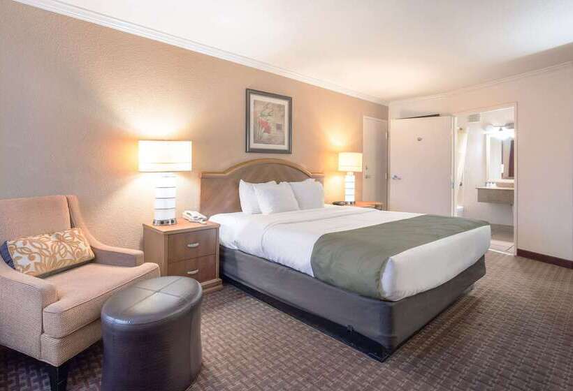 فندق Quality Inn & Suites Lake Havasu City