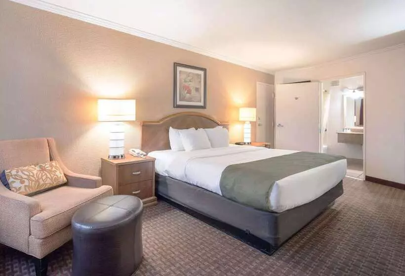 Hotelli Quality Inn & Suites Lake Havasu City