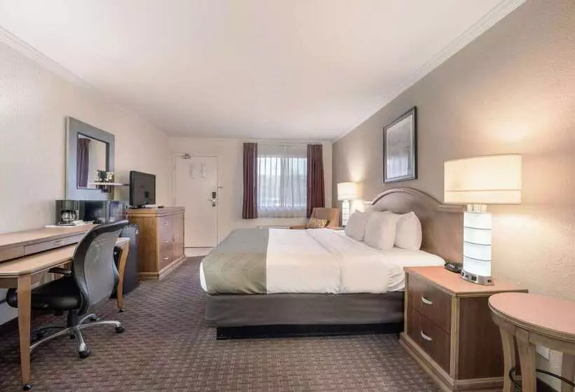 Hotelli Quality Inn & Suites Lake Havasu City