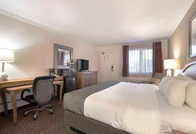 Hotelli Quality Inn & Suites Lake Havasu City