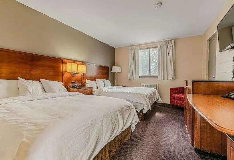 فندق على الطريق Skyview Inn