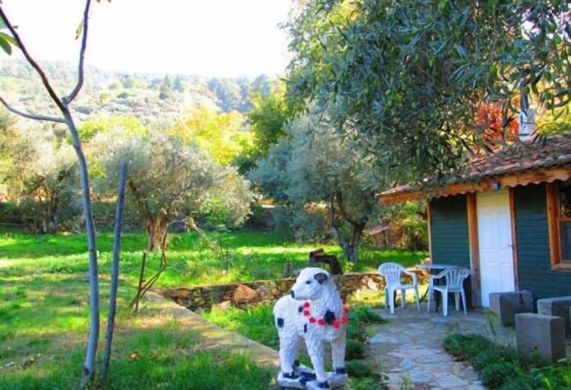 Kucuk Ciftlik Bungalow Evleri