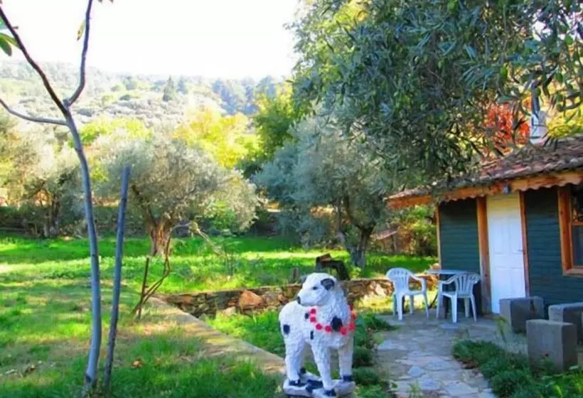Kucuk Ciftlik Bungalow Evleri