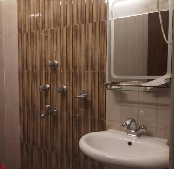 هتل The Narayani Continental