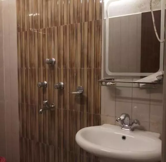 Hotelli The Narayani Continental