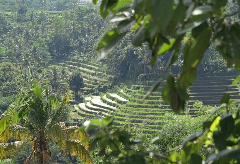 ホテル The Chillhouse Canggu By Bvr Bali Holiday Rentals