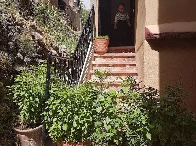 پانسیون Dar Amadine