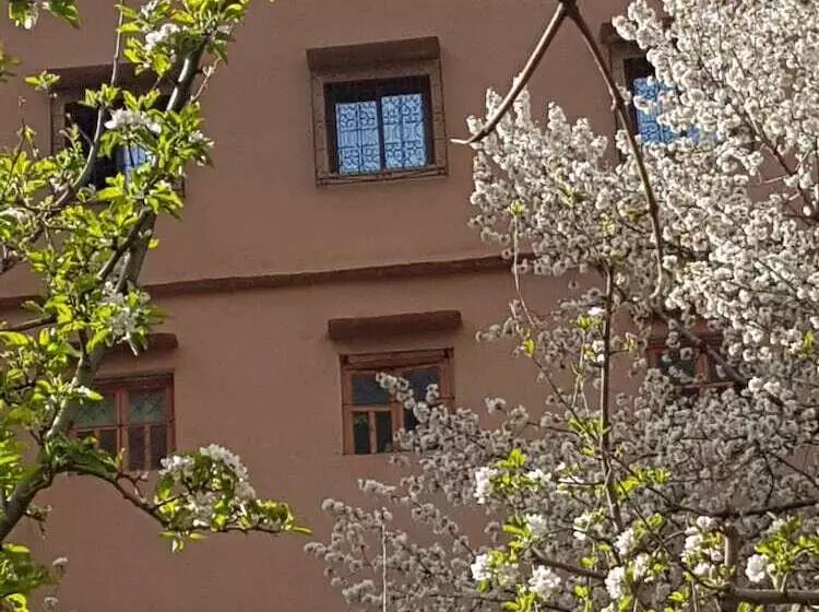 پانسیون Dar Amadine
