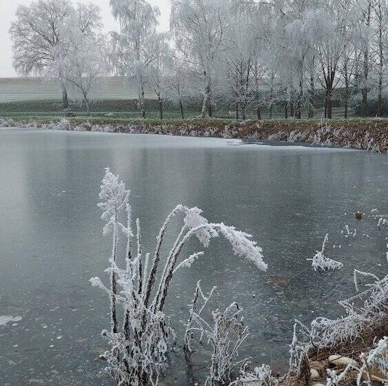 Пансион Le Moulin De L Etang