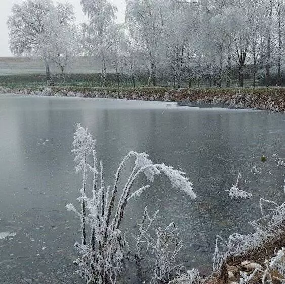 ペンション Le Moulin De L Etang