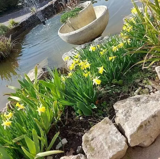 ペンション Le Moulin De L Etang