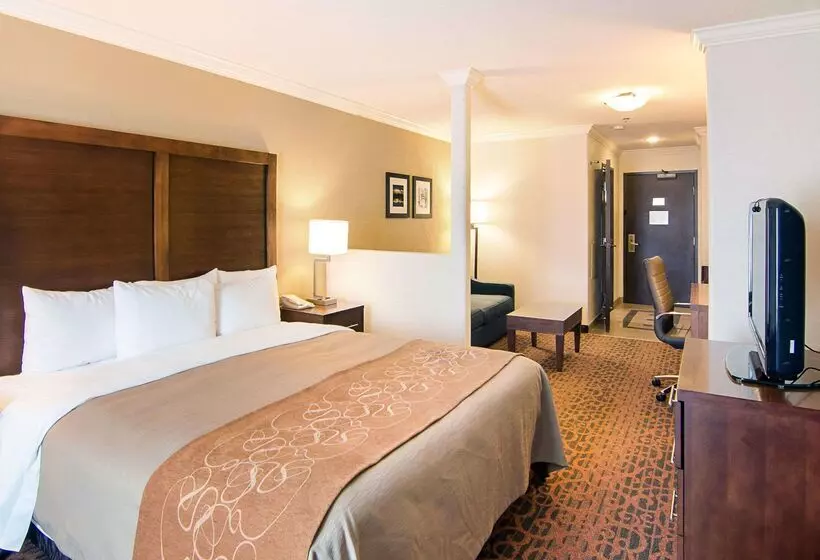 酒店 Comfort Inn & Suites Houston Key Katy