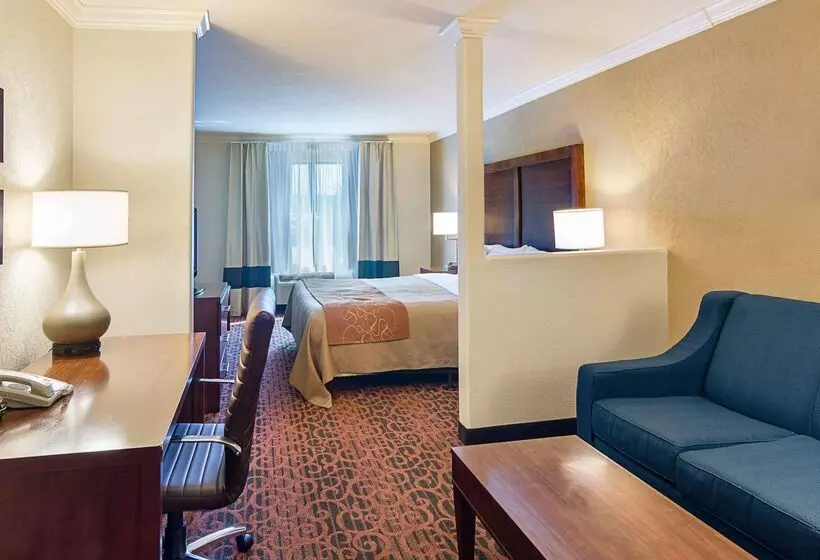 酒店 Comfort Inn & Suites Houston Key Katy