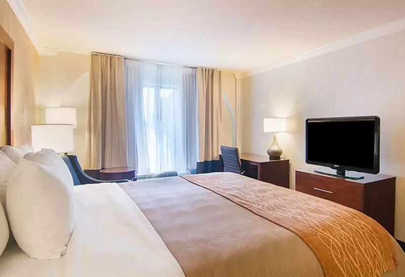 酒店 Comfort Inn & Suites Houston Key Katy