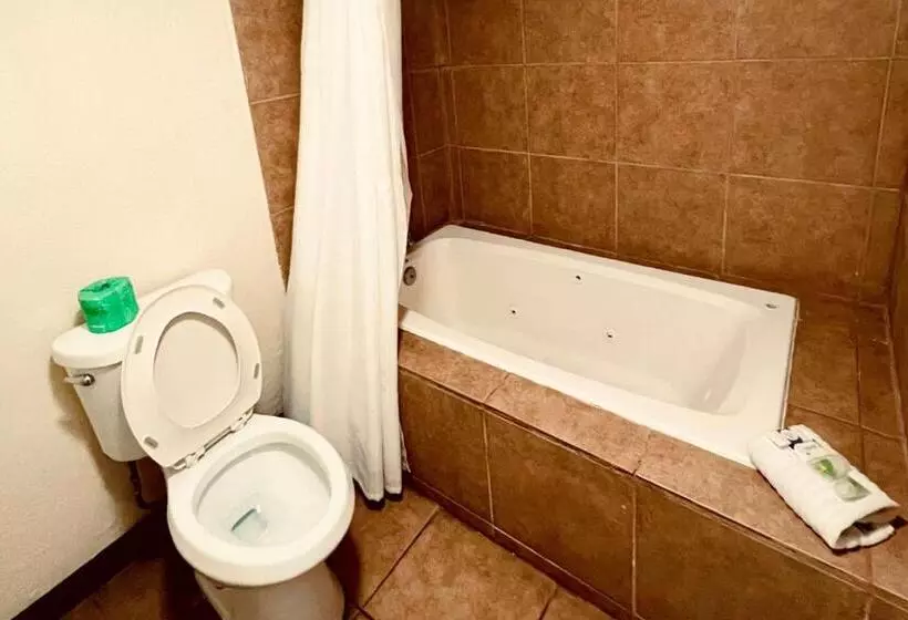 Отель Econo Lodge Inn & Suites Downtown San Antonio Riverwalk Area