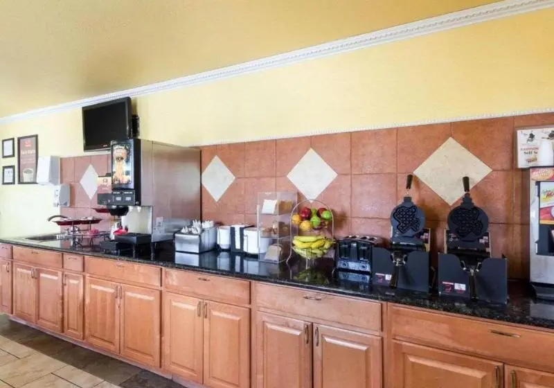 ホテル Econo Lodge Inn & Suites Downtown San Antonio Riverwalk Area