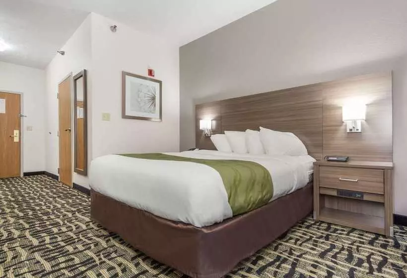 בית מלון כפרי Quality Inn & Suites West Omaha Ne Linclon