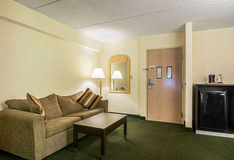 酒店 Quality Suites Atlanta Airport East