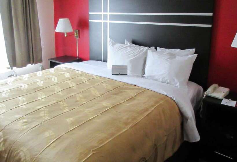 酒店 Quality Suites Atlanta Airport East