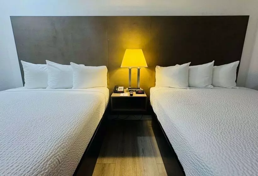 ホテル Ramada By Wyndham San Diego Airport