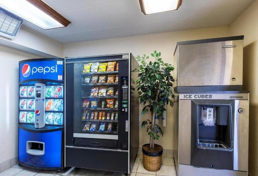 ホテル Red Roof Inn Plus+ Columbus   Dublin