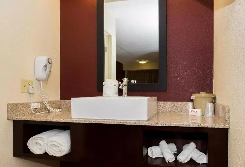 호텔 Red Roof Inn Plus+ Columbus   Dublin