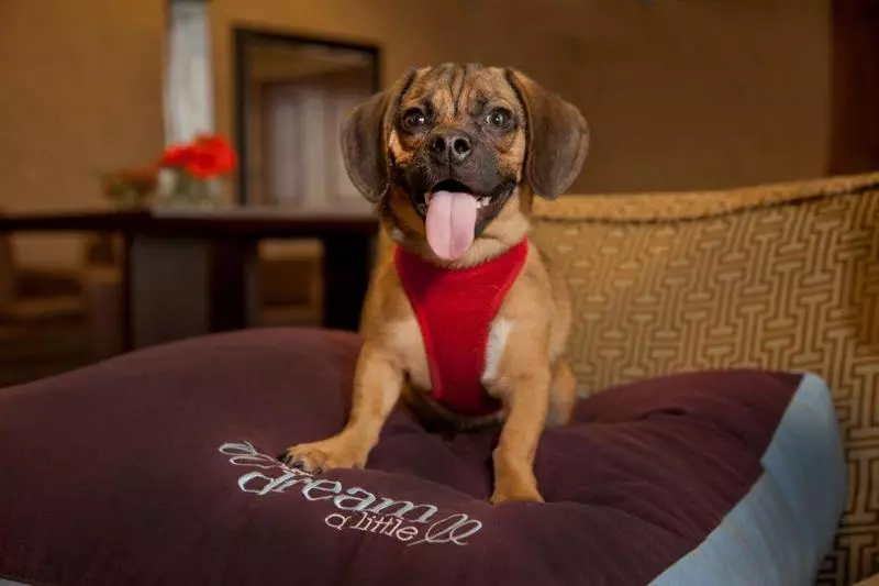 酒店 Sheraton Louisville Riverside