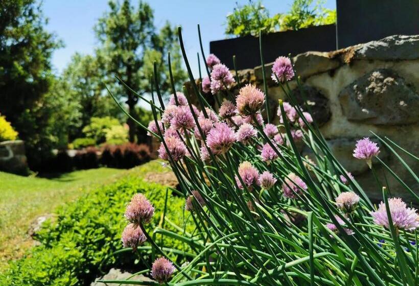 住宿加早餐  Le Clos Des Pierres Rouges