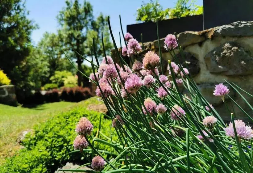 Aamiaismajoitus (B&B) Le Clos Des Pierres Rouges