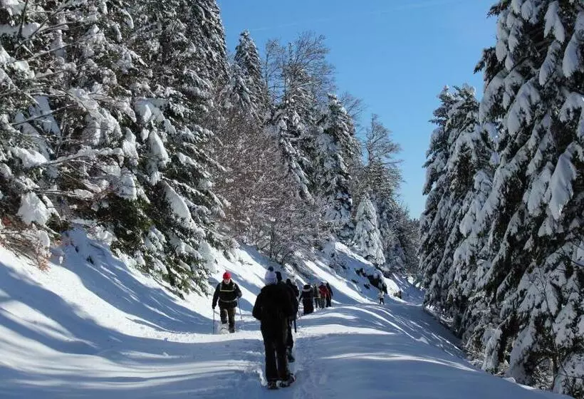 Hotelli Auberge La Soulan