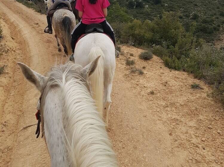 هتل Serra De Prades Resort Campsite