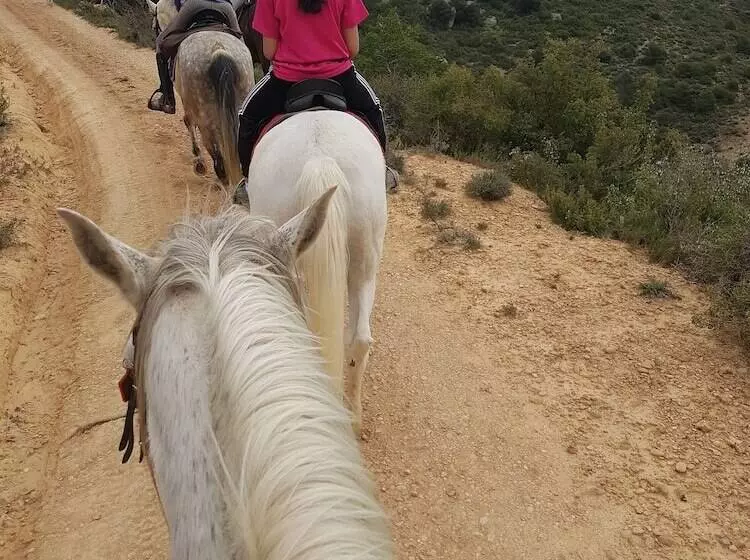 Hotelli Serra De Prades Resort   Campsite