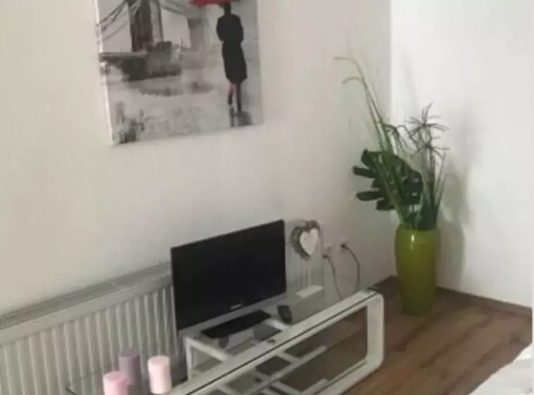 Oftersheim Apartment