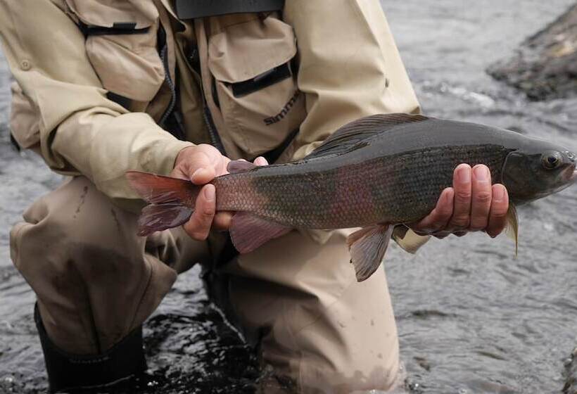 پانسیون Bulbul Jamak Travel Guesthouse