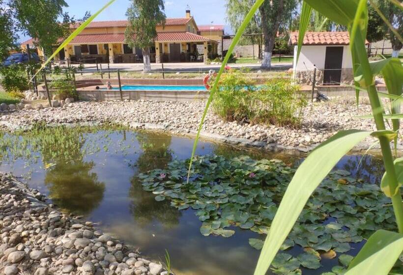 بنسيون La Posada Hípica