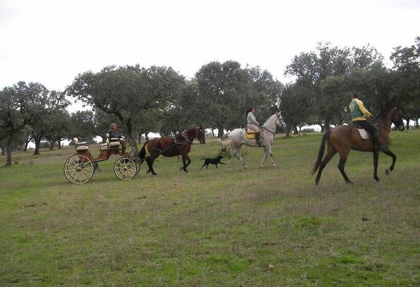 بنسيون La Posada Hípica