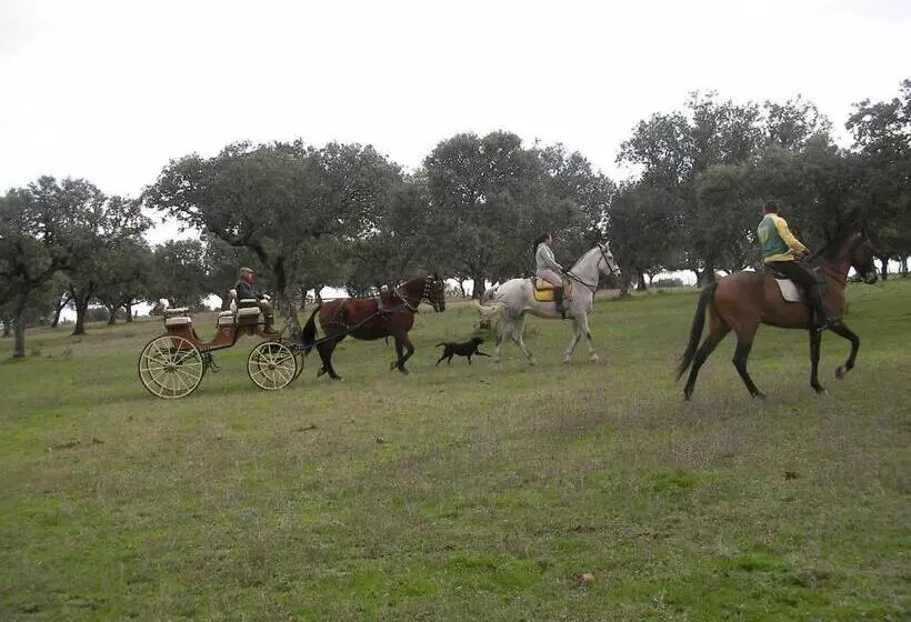 ペンション La Posada Hípica