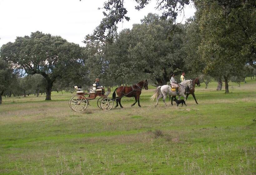 بنسيون La Posada Hípica