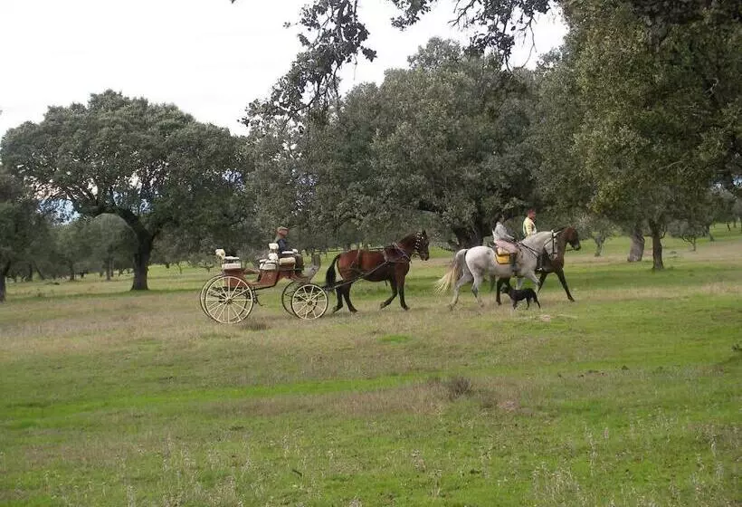 ペンション La Posada Hípica