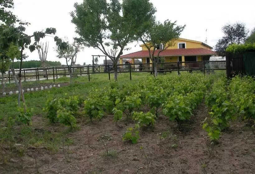 ペンション La Posada Hípica