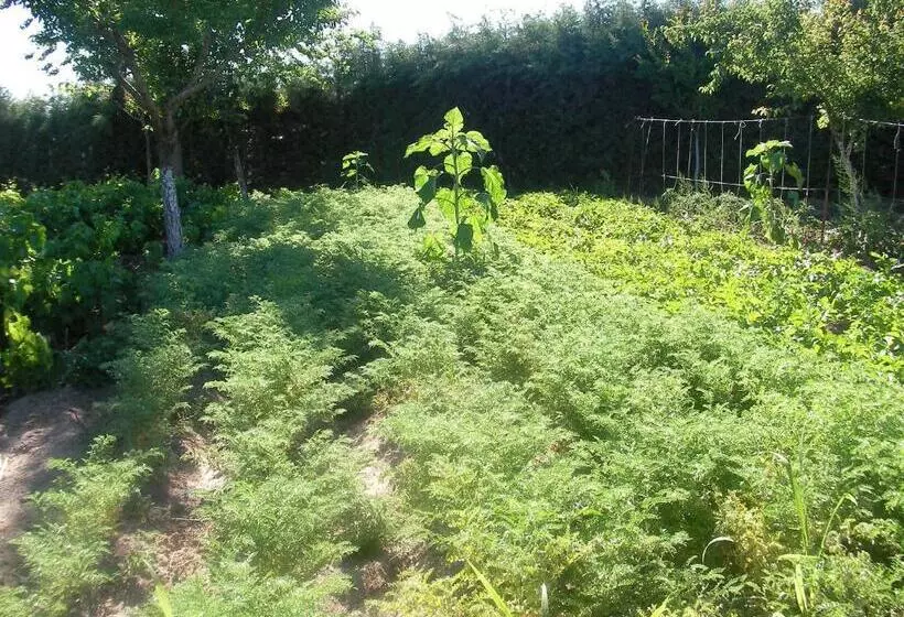 ペンション La Posada Hípica