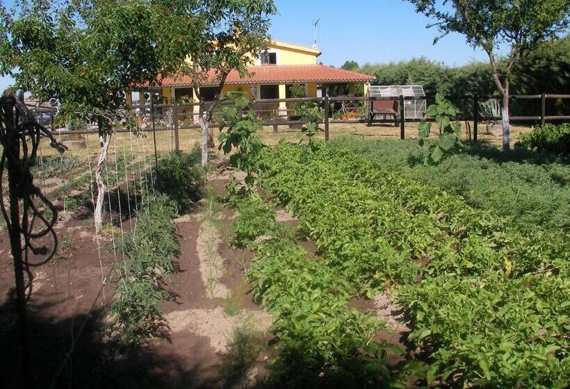 بنسيون La Posada Hípica