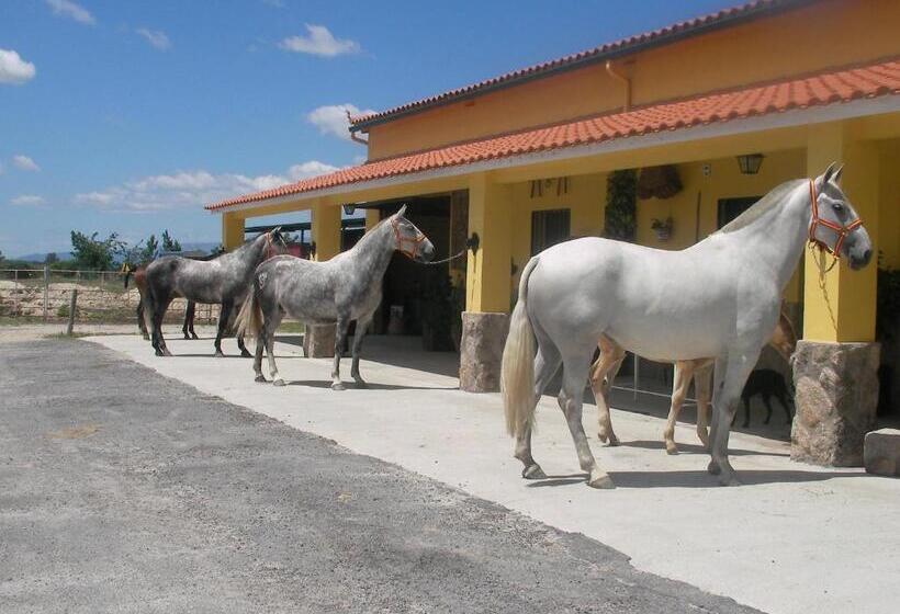 بنسيون La Posada Hípica