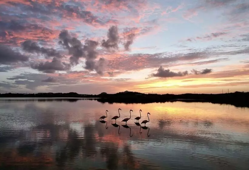 Harbour Club Villas & Marina