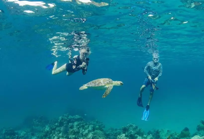 Harbour Club Villas & Marina