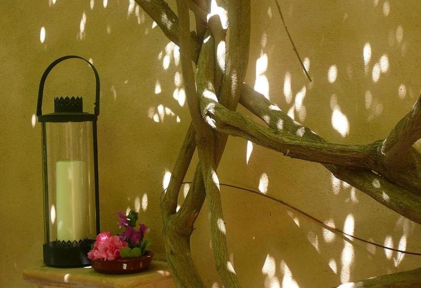 בית מלון כפרי Ca N Bando